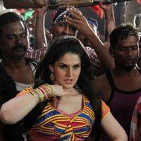 Zarine Khan Hot  at Naan Rajavaga Pogiren Movie  Shooting Spot Stills | Picture 285254