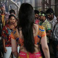 Zarine Khan Hot  at Naan Rajavaga Pogiren Movie  Shooting Spot Stills | Picture 285257