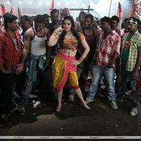 Zarine Khan Hot  at Naan Rajavaga Pogiren Movie  Shooting Spot Stills | Picture 285286