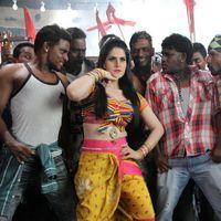 Zarine Khan Hot  at Naan Rajavaga Pogiren Movie  Shooting Spot Stills | Picture 285298