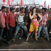 Zarine Khan Hot  at Naan Rajavaga Pogiren Movie  Shooting Spot Stills | Picture 285300