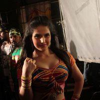 Zarine Khan Hot  at Naan Rajavaga Pogiren Movie  Shooting Spot Stills | Picture 285302