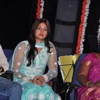 Benze Vaccations Club Awards 2013 Stills | Picture 427648