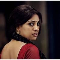 Richa Gangopadhyay in Osthi Movie Stills | Picture 433550
