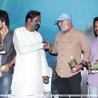 Pani Vizhum Malarvanam Movie Audio Launch Stills | Picture 444170
