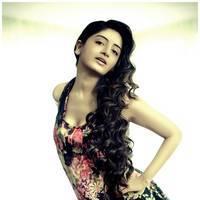 Actress Poonam Kaur Unseen Photoshoot Stills | Picture 530622