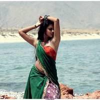 Amala Paul - Vikram Dhada Movie Hot Stills | Picture 532116