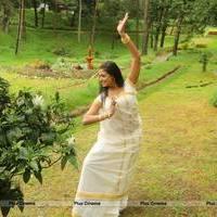 Angusam Movie Stills | Picture 545195