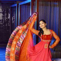 Actress Sanchita Shetty New Hot Images | Picture 388535