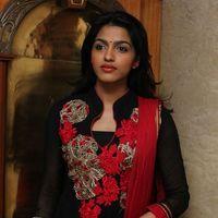 Sai Dhanshika - Benze Vaccations Club Awards 2013 Stills | Picture 354499