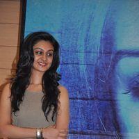 Actress Aishwarya Arjun Press Meet Images | Picture 355886