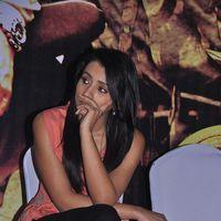 Trisha Krishnan - Samar Movie Success Meet Stills | Picture 362695