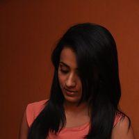 Trisha Krishnan - Samar Movie Success Meet Stills | Picture 362725