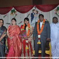 Y Vijaya Daughter Wedding Reception Stills | Picture 371067