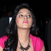 Anjali (Actress) - Settai Movie  Audio Launch Stills | Picture 372098