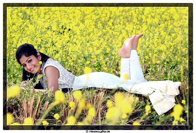 Actress Maadhavi Latha New Stills | Picture 519791