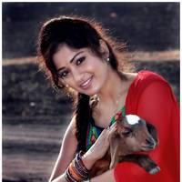 Actress Maadhavi Latha New Stills | Picture 519794