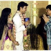 Stars At A. L. S. Nachiappan Son Wedding Reception Stills | Picture 475184
