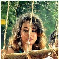Priyanka Kothari - Padam Pesum Movie Shooting Spot Stills | Picture 476918