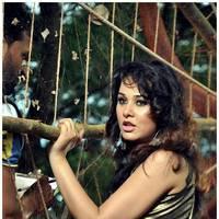 Nisha Kothari - Padam Pesum Movie Shooting Spot Stills | Picture 476961