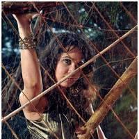 Priyanka Kothari - Padam Pesum Movie Shooting Spot Stills | Picture 476983