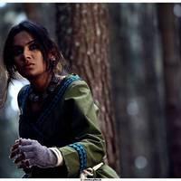 Sutta Kadhai Movie Stills | Picture 484115