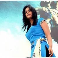 Bindu Madhavi - Desingu Raja Movie Stills | Picture 487097
