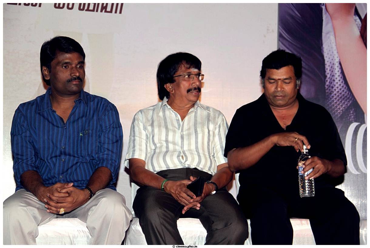 Pattathu Yaanai Movie Audio Launch Stills | Picture 491124