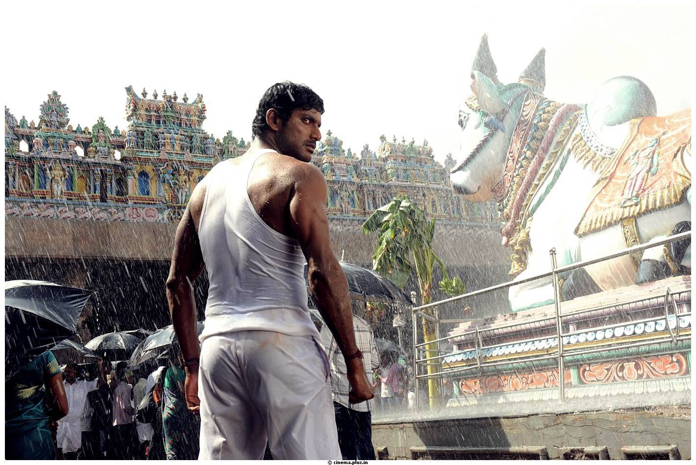 Vishal Krishna - Pattathu Yaanai Movie New Stills | Picture 492263