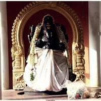 Jagajjala Pujabala Tenaliraman Movie Pooja Stills | Picture 492806
