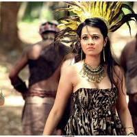 Priyanka Kothari - Padam Pesum Movie New Stills | Picture 494468