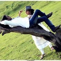 Theriyama Unnai Kadhalichitten Movie Stills | Picture 494639