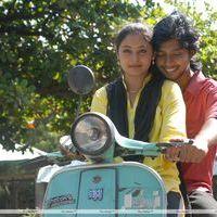 Sundattam Movie Stills | Picture 400755