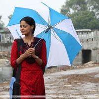 Bindu Madhavi - Kedi Billa Killadi Ranga Movie Stills | Picture 411119