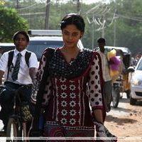 Kedi Billa Killadi Ranga Movie Stills | Picture 411120