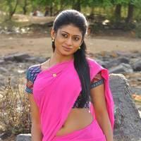 Saniya Srivastav - Virudhalaam Pattu Movie  Hot Stills | Picture 451390