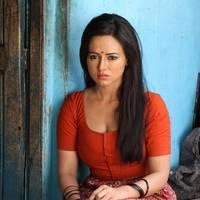 Sana Khan Latest Hot Stills in Nadigayin Diary Movie | Picture 455704