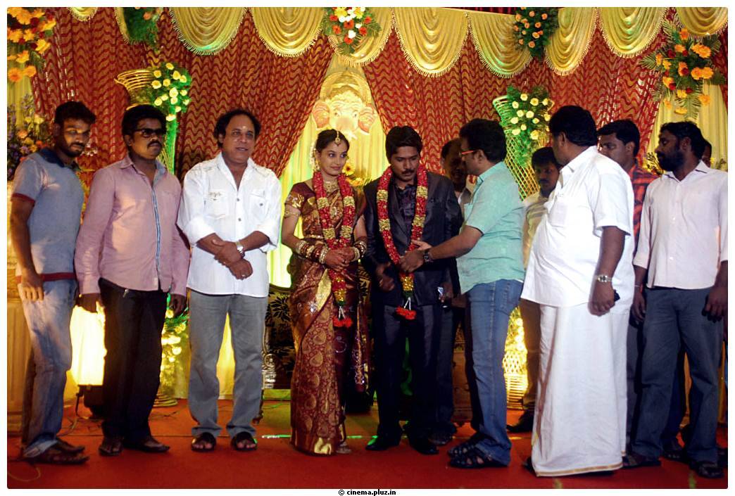 Cinematographer NS.Udhayakumar Wedding Reception Stills | Picture 464705