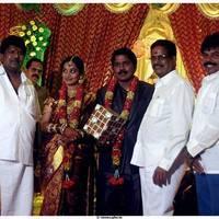 Cinematographer NS.Udhayakumar Wedding Reception Stills | Picture 464695