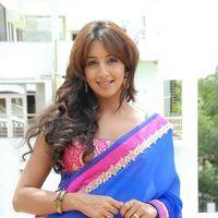 Sanjana Stills at Jagan Nirdoshi Movie Press Meet | Picture 217832