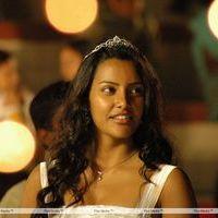 Priya Anand - Live Movie Latest Stills | Picture 266338