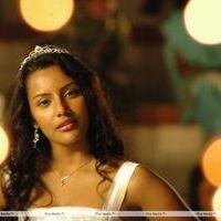 Priya Anand - Live Movie Latest Stills | Picture 266345