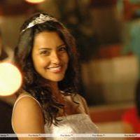 Priya Anand - Live Movie Latest Stills