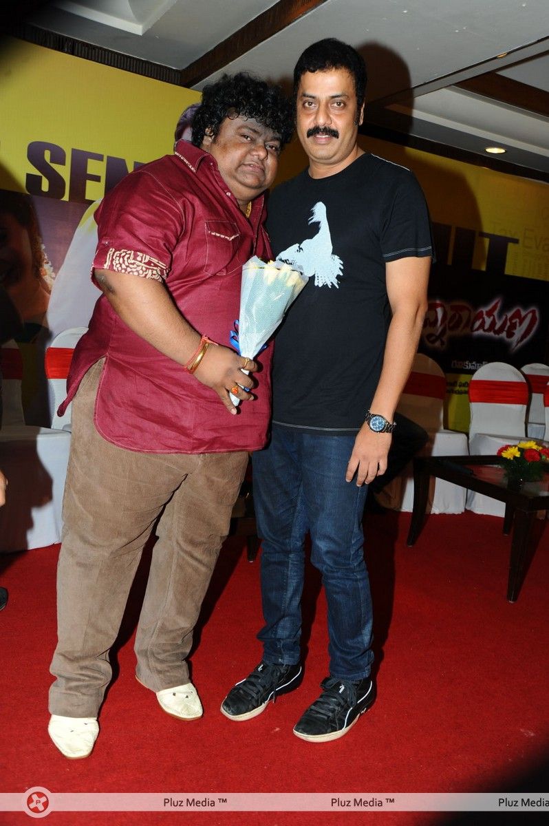 Srimannarayana Movie Success Meet Pictures | Picture 266300