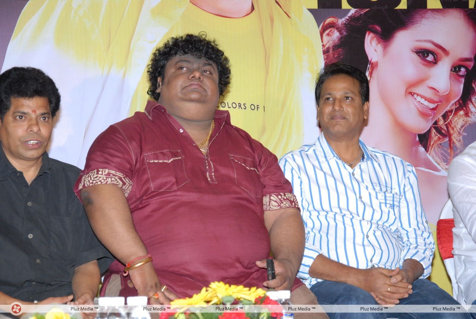 Chakri - Srimannarayana Movie Success Meet Pictures | Picture 266231