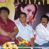 Srimannarayana Movie Success Meet Pictures | Picture 266135
