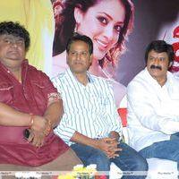 Srimannarayana Movie Success Meet Pictures | Picture 266188