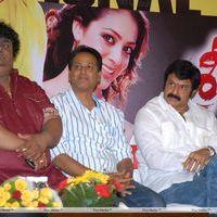 Srimannarayana Movie Success Meet Pictures | Picture 266192