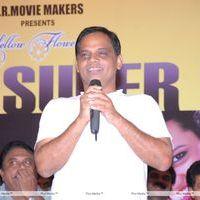 Srimannarayana Movie Success Meet Pictures | Picture 266199