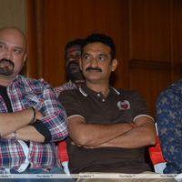 Srimannarayana Movie Success Meet Pictures | Picture 266209